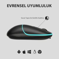 LECOO WS210 BLUETOOTH / WIRELESS 1600 DPI SİYAH MOUSE 2.4 GHZ / ŞARJLI