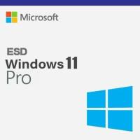 MICROSOFT WİNDOWS 11 PRO FQC-10572 ELEKTRONİK LİSANS